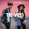 About Te Veo (feat Lizi Lay) Song