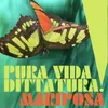 About Pura Vida, Dittatura! Song