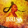 About Brisa Song