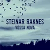 About Vossa Nova Song