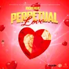 About Perpetual Love Song