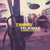 Felicidad Acoustic Version