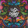 About Sabes Muy Bien DJ Shub Remix Song