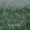 The Ferris Wheel Background Rain