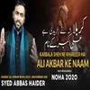 About Ali Akbar Ke Naam Song