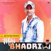 About Meri Bhadri Song