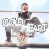 About Cold Heart Song