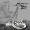 Sinfonia Nativa Rio Paraguai: II. Movimento "As Alegres Lavadeiras"