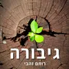 About גיבורה Song