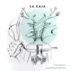 About La Caja Song
