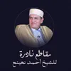 About تلاوة خواتيم سورة الأنبياء للشيخ احمد نعينع في كربلاء المقدسة Song