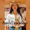 About Amor Limosnero Song