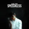 About Speechless Song