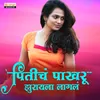 About Priticha Pakhru Jhurayala Lagla Song