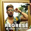 About Regresé Song