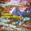 About Strassen meiner Heimat (feat. Dominic Sanz) Song