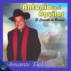 Amante Fiel