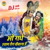 About Oh Radhe Shyam Tera Deewana Hai Song