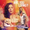 Are You Living Dirty Disco Pillow Biters Remix