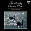 Swan Lake, Op. 20: No. 7: Sujet