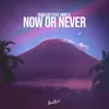 About Now or Never Song
