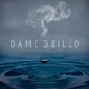 About Dame Brillo Song