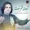 About Tajdar E Khatm E Nabuwat Song
