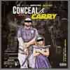 Conceal & Carry