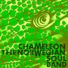 Chameleon Radio Edit