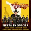 About Fiesta en Sonora Song