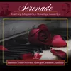 Serenade for String Orchestra in E minor, Op. 20: III. Allegretto