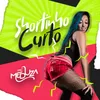 About Shortinho Curto Song