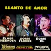 About Llanto de Amor Song