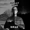 About Bırak Song