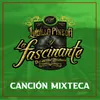 About Canción Mixteca Song