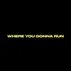 About Where You Gonna Run Song