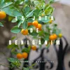 About Jota de Benigànim Adaptació Orquestal Song