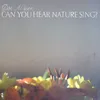 About Can You Hear Nature Sing? Song