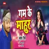 About Gum Ke Mahur Song