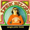 About Sevgin Yeter Bana Song