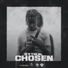 About Chosen Song