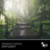 Daylight Extended Mix