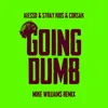 About Going Dumb (Mike Williams Remix) Song