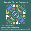 About Temple Trio for Organ x3 Song