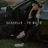 About Te Boté Song