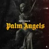 About Palm Angels Song
