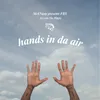 About Hands in da Air Song