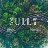 About Sully Song