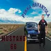 About Mustang 66 Song
