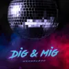 About Dig & Mig Song